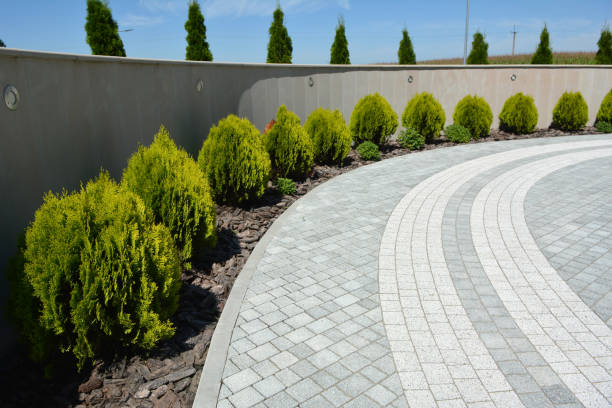 Best Best Driveway Pavers  in Mayo, MD